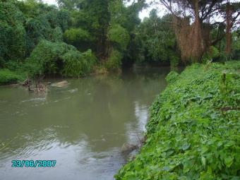 BEAUTIFUL LAND BY THE RIVER Lacovia